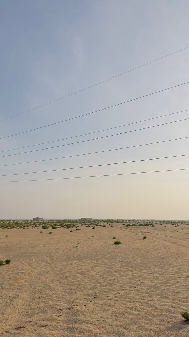 السلام عليكم
مزرعه للبيع 26دونم مسيجه بأشجار بيها بيت وكهرباء وطنيه وبير ارتواز عقدها قيد الانجاز عنوانها طريق الزبير نزلتها قرب معمل بلوك ديالى المزرعه تبعد 2 كيلو عن شارع الزبير السعر65 وبيها مجال

مكلف بالنشر انا

راعي المزرعه  ‭0770 670 7388‬
