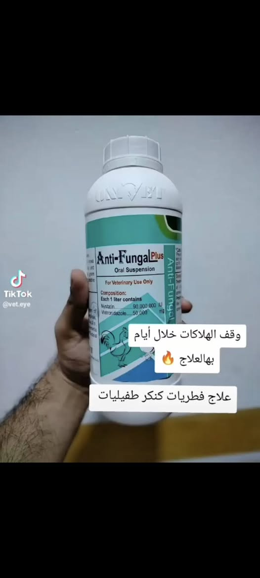 تم وصول منتجات خاصة بلحمام وجميع والحيوانات النهروان سوق الاولى قرب صيانه الكهرباء  وسوك جمعه 

الاستفسار ***********
