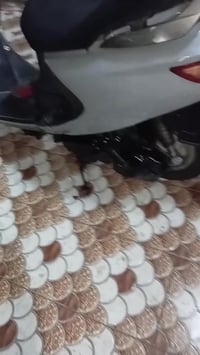 فراشه فحل • كامله • مامفتوح