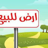 الأمن الوطني – الوليد • ١٢٥م • طابو صرف