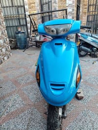 فراشه • شغاله