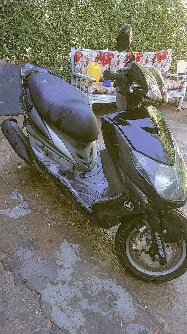 سكنس فحل نوزل منزلها رمبة صارلي شهر ونص عراضعا مليون وربع ١٢٥٠ بغداد شعلة
او مراوس بسكنس شمعة لو لد


**إذا كنت صاحب هذا الإعلان وتريد حذفه لأي سبب، رجاءا أرسل رسالة إلى الدعم الفني**