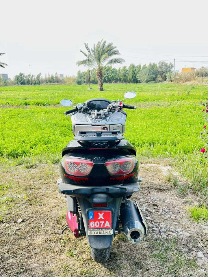 السلام عليكم فورزه صفر 8 (بدون اوراق) السعر 700وبيه مجال  واسط الزبيديه استفسار اكثر***********
