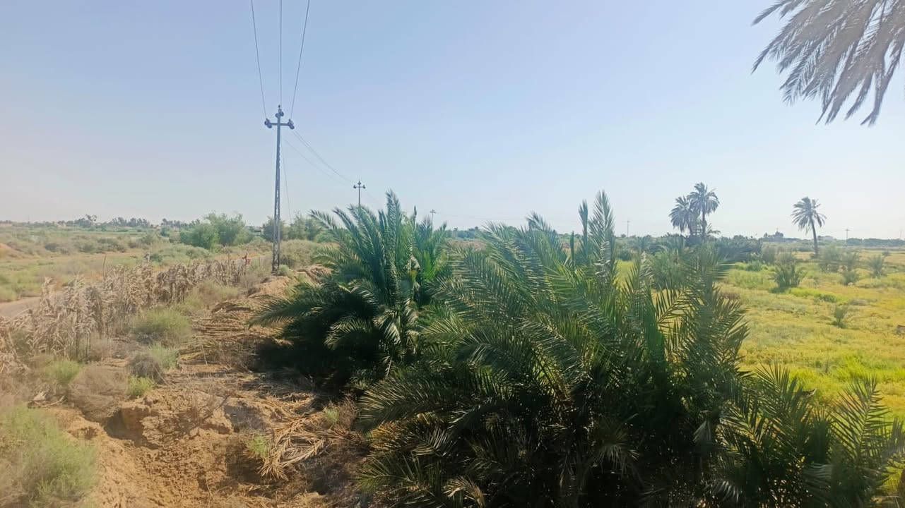 للبيع ارض طابو زراعي تحويل بالاسم 
تحتوي على نخيل وسدر وبعض الأشجار المختلفه 
كذلك تحتوي على حقل لتربية الدواجن او العجول جاهز 
ارض خصبة جداً ينصفها شارع تبليط ويحدها نهر دجله 
المجموع 6 دونم 4 طابو صرف و2  شاطيه 
توجد كهرباء محوله جديده
مدرسة + مركز صحي قريب
تصلح للاستثمار او السكن 
مكانها اكصيبه الثانيه 
سعر الدونم 
35 مليون 
يعني 6*35=210 

***********
