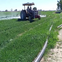 يوجد رش مبيد العلم الرقم 07831482256