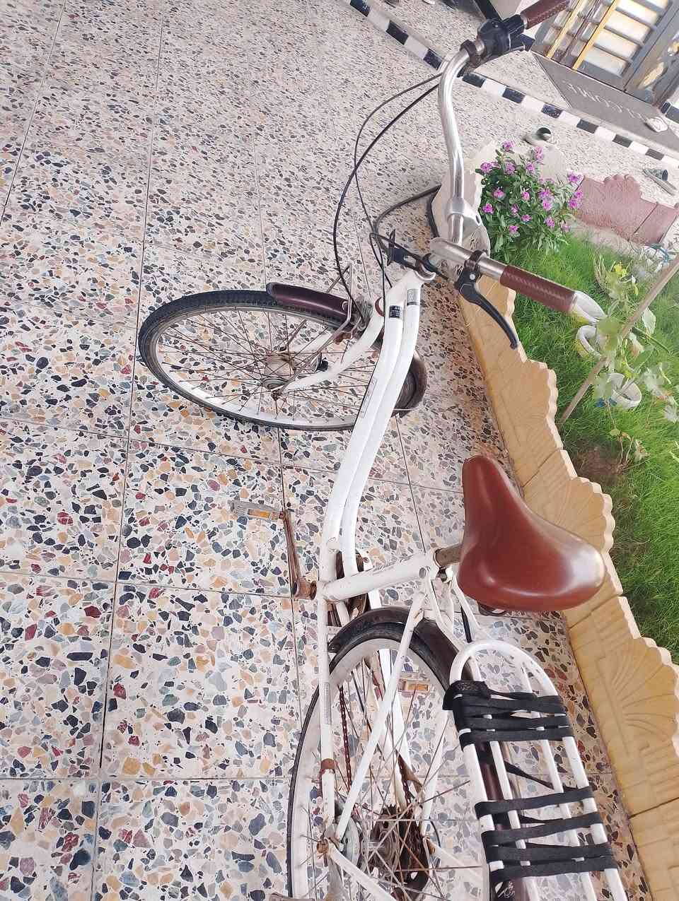 بايسكل للبيع مال حاويه ياباني مديل 18 السعر 85 أو بيه مجال العنوان البصره أبي الخصيب


**إذا كنت صاحب هذا الإعلان وتريد حذفه لأي سبب، رجاءا أرسل رسالة إلى الدعم الفني**