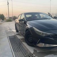 النترا • ٢٠٢٣ • صبغ حزام