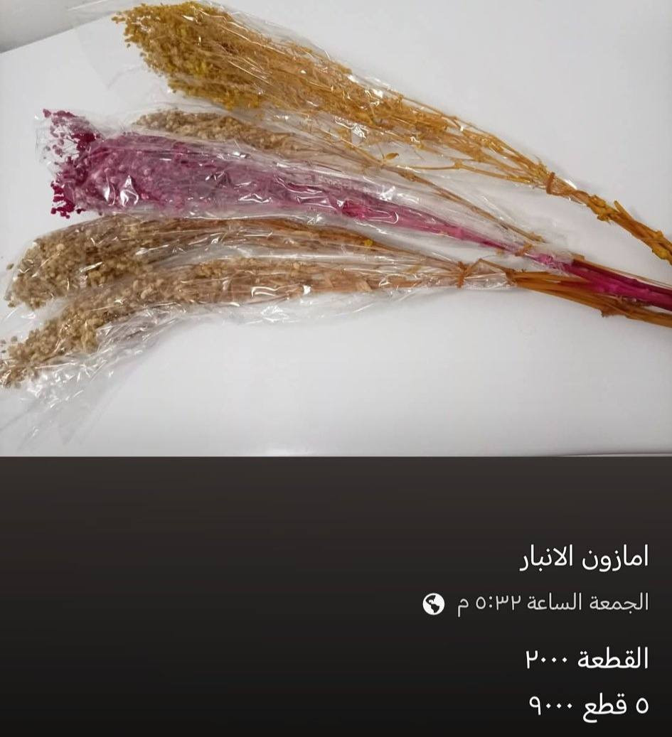 العنوان  راوة الجديدة الشارع العام مكان سيد الكيك سابقا ويوجد توصيل ***********
