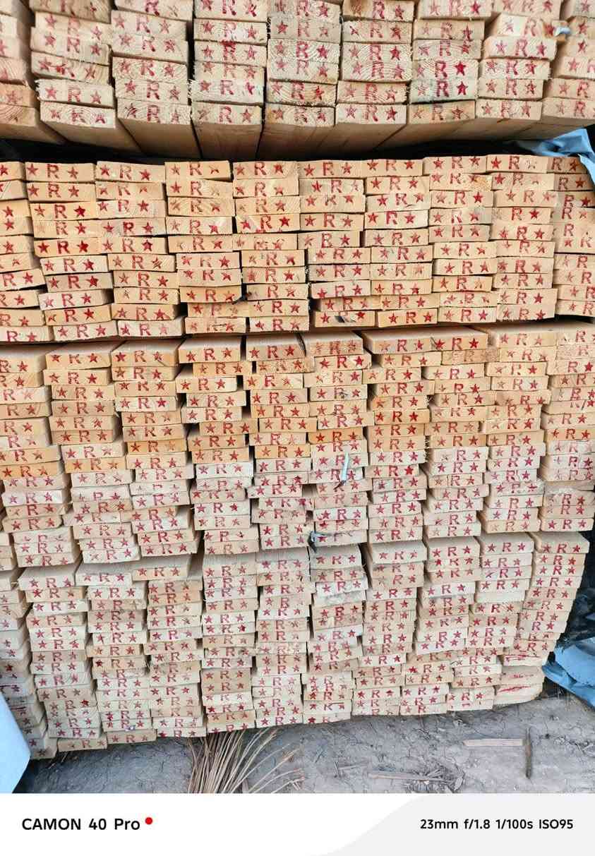لسلام عليكم خشب روسي مجفف درجه اولي 

لوح تارس 25 لوح 22  سير 7×7جميع الماركات موجوده بسعار مناسبه 

العنوان حله توصيل جميع المحافظات مجاني
الاستفسار ***********......***********

