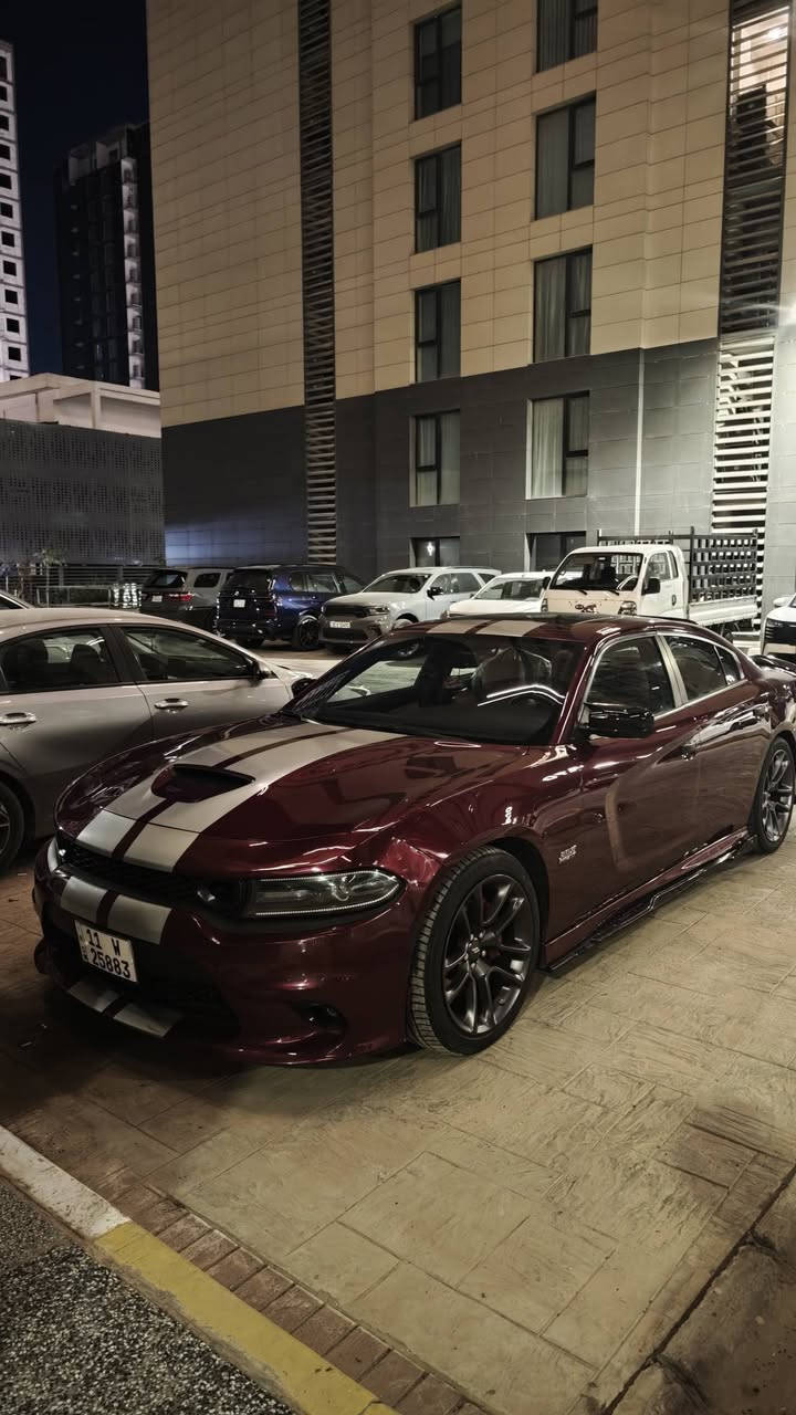 جارجر Srt 2017 فول مواصفات فتحة 
برمجة ايگل
ولف حماوة ريسنك
شوتة
كاج كان
غرفة جديدة مشمشي يم شمارة
كلشي بيها جديد بدون اي نقص
السعر 195 ورقة 

كلين بدون قطرة صبغ بيها بارد بالجاملغ الامامي 
*********** واتس اب فقط
