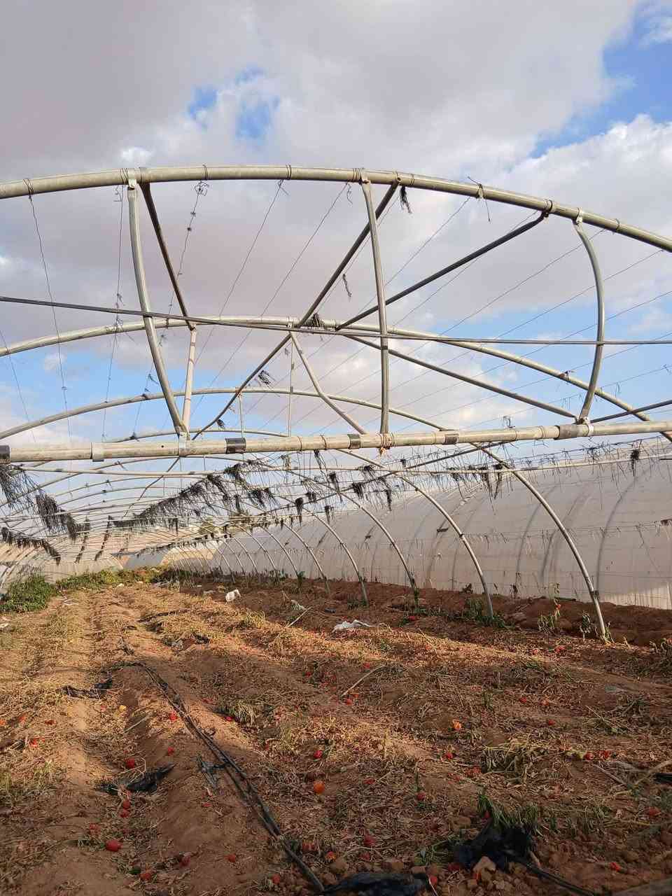 السلام عليكم يوجد بيت اردني 24 قوس 56 متر المكان بابل الجبله ***********
