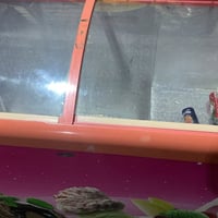 نجف الأشرف • حي الجامعة • ثلاجة