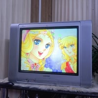 تلفزيون شارب • ٢١ بوصة • كمبونتي