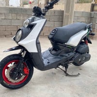 سكنس جبلي • كفالة • بصرة كرمة علي