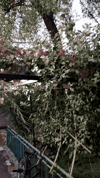 بسم الله الرحمن الرحيم
إعلان بيع بيت
الموقع:بيت حي طارق الوصط 300، طابو صرف باسمي، اول فرع.
المواصفات:
ستقبال كبيره كما موضح 

الواجهة: 12 متر
النزال: 25 متر
يحتوي على صحيات خارجية
حديقة كبيرة وكاملة كما موضح بالصور.

الطابق الأول:

3 غرف نوم كبيرة
صالة كبيرة مع ترك مساحة كبيرة
حمامات داخلية
استقبال كبيرة

الطابق الثاني:

2 غرف
صالة
حمامات داخلية

ملاحظات:

البيت جديد وبناء متين.

للاستفسار:
للمهتمين بالشراء، يرجى الاتصال على الرقم: ***********
السعر مناسب. ونحن في خدمتكم.
