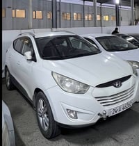 ٢٠١٣ • ثلاث قطع صبغ • جير ومكينة شرط