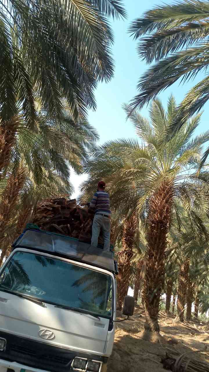ديانا للبيع موديل 96.      0790180056.     ابووديع


**إذا كنت صاحب هذا الإعلان وتريد حذفه لأي سبب، رجاءا أرسل رسالة إلى الدعم الفني**