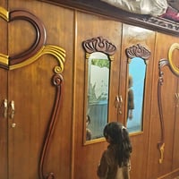 كنتور ٦ باب • خشب ثقيل • ابو غريب الزيتون