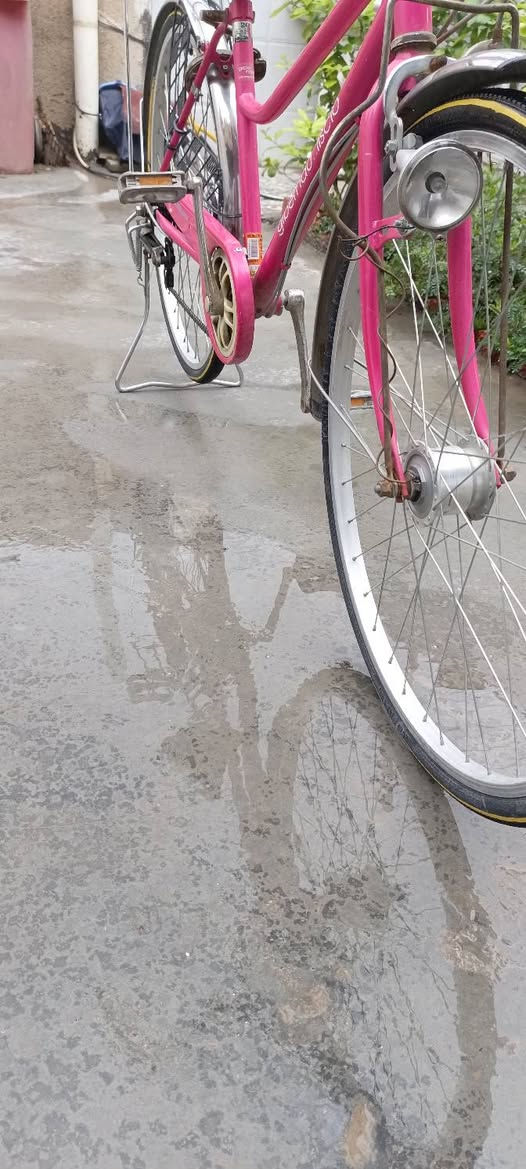 السلام عليكم شباب شلونكم بايسكل للبيع حجم 26نضيف لون وردي بايسكل حلو وجديد والله العظيم برغي مامفتوح مااطلع بي متروك بلبيت نضافه ميه عله ميه وعلي السعر 110وبي مجال الخاطر الجيه وبيكم خير وتدللون تواصل ***********واتساب او اتصال ***********
