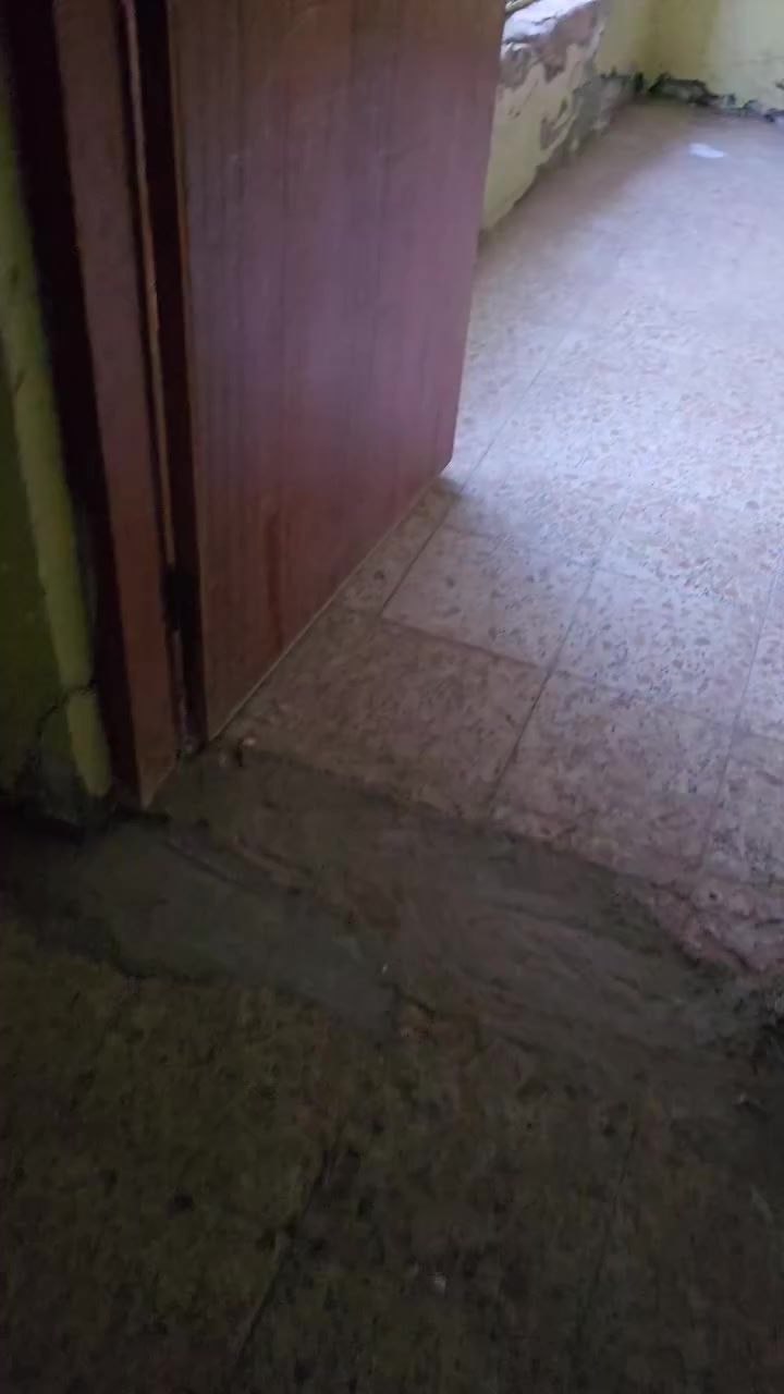 بيت 
للايجار 
مساحه 300 متر 
3 غرف نوم
صاله 
استقبال 
مطبخ
صحيات داخليه 
خارجيه
للاستفسار مراجعة مكتب السنيه للعقار 
قرب جامع السنيه الكبير 
***********
