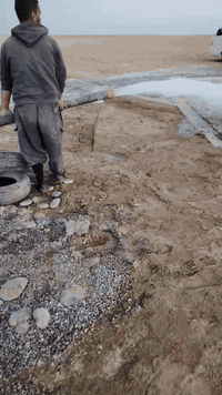 اسلام عليكم موطورلبيع  30احصان معه خنزيره شرط جديده شقل 75 نوزل صنع أل...