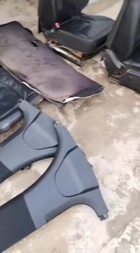 غرفة كاملة • كشنات جلد • ٢٠١٦