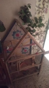 قفص طيور • طيور حب