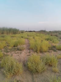 ٦ دونم • بعير طريق الساير • ماء وكهرباء