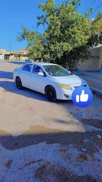 كورلا ٩ البيع نقد 110 07807041743  رقم صلاح الدين رجاء المو شراي لا تخ...