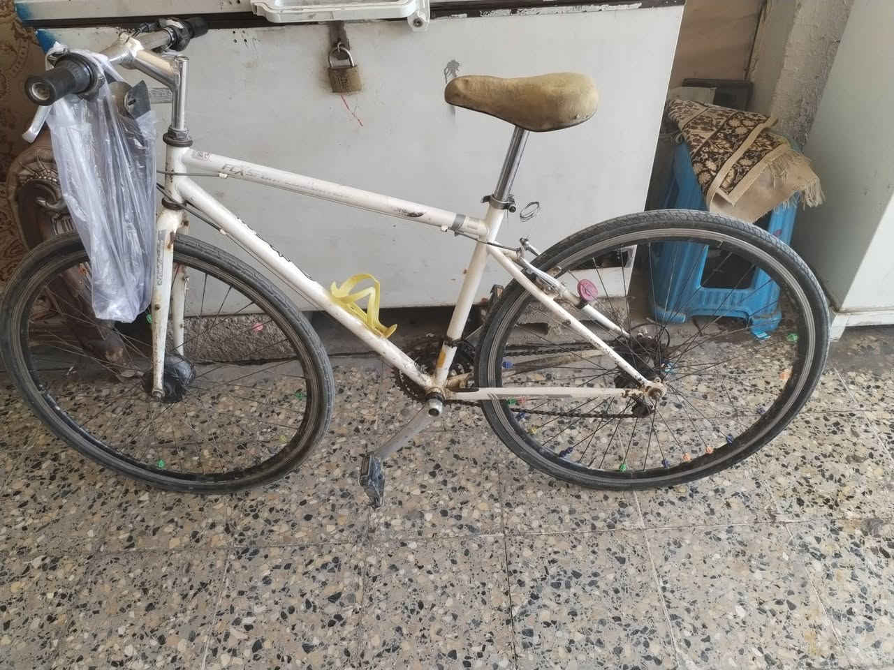 بايسكل للبيع سعره 35


**إذا كنت صاحب هذا الإعلان وتريد حذفه لأي سبب، رجاءا أرسل رسالة إلى الدعم الفني**