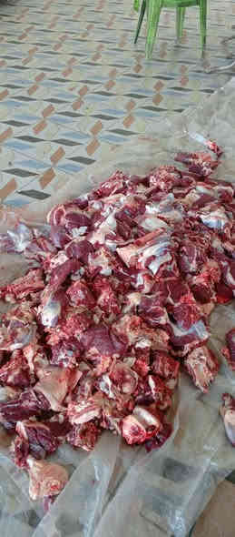 السلام عليكم قصابة وكباب الاصدقاء لحم عجل عراقي كباب لحم عجل +غنم عراقي كباب دجاج تتوفر خدمة توصيل مستعدين لتجهيز كافة المناسبات مكان الاسكندرية شارع العام مقابل معارض الاسكندرية للسيارت بإدارة حيدر ***********وعبس ***********
