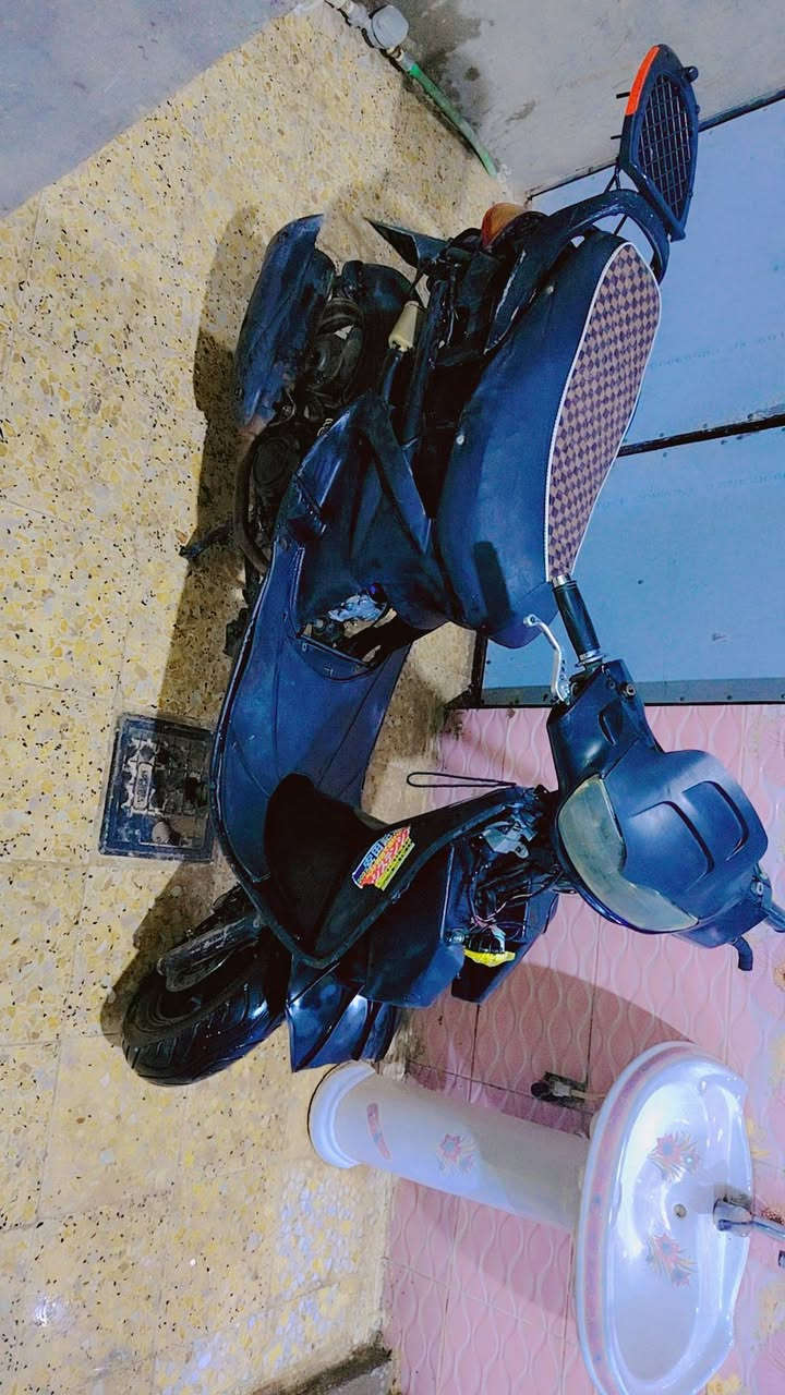 سلام عليكم فراشه فحل مكفولة سعر350 مكان نجف ***********
