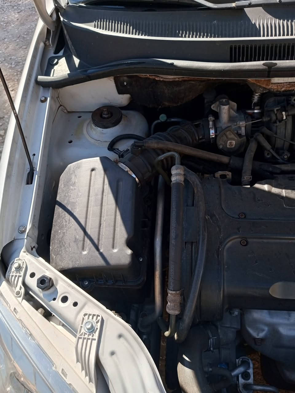 صبغ الحزام 2007 ***************
