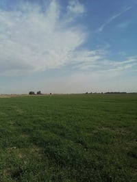 ارض زراعيه 100دونم تبعد عن مركز المدينه 15دقيقه خلف الملعب واصله ماء و...