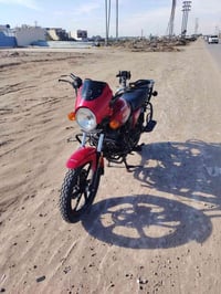 دايون 2024 • رقم أربيل • الديوانيه