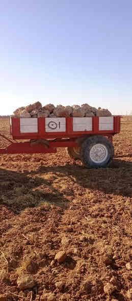 سلام عليكم اخوان يوجد عربانه للبيع موصله مليون و550 شراي اتصل على رقم *********** ابو عماد
