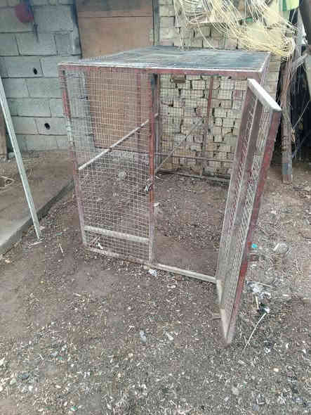 سلام عليكم قفص كبير للبيع العنوان بغداد تقاطع النهروان السعر اتصل الرقم ***********
