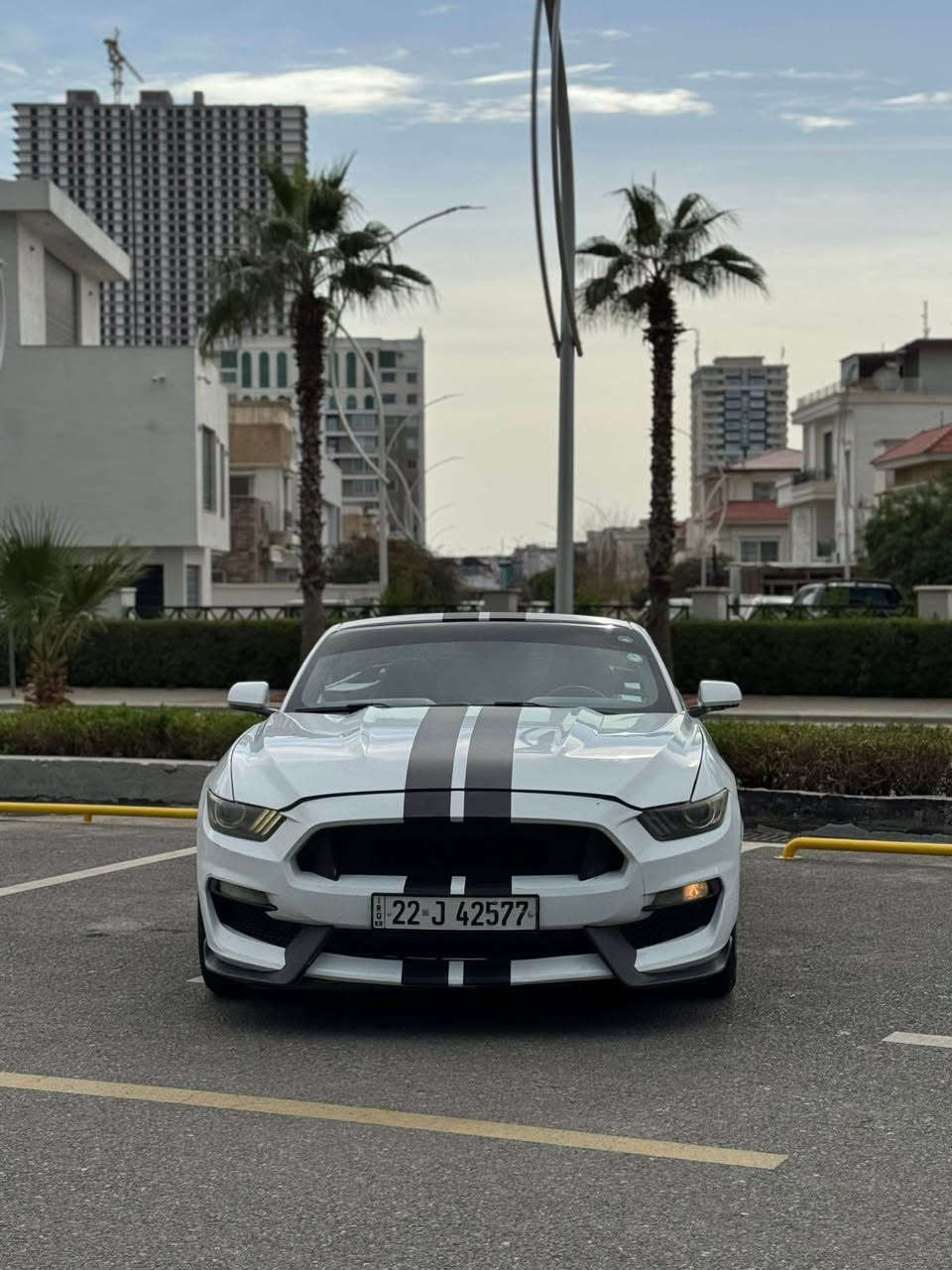 سلام عليكم . فورد موستانگ  2016 كشف ٦ پستن .. ٢ پارجةى هةية ١ دةركةشي كرايتةوة . بي تعديل . پةرةشوت بةس سوكان سيستةمة . پيشي توزةك سةرة شانسيةكةى هةيةتى رقم و سنوى هةموو نويية بة ناو خومانة 136 معاملةكى برايانة أربيل, العراق


**إذا كنت صاحب هذا الإعلان وتريد حذفه لأي سبب، رجاءا أرسل رسالة إلى الدعم الفني**