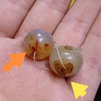 سليماني • نثى وفحل • مكاني مدينة الصدر