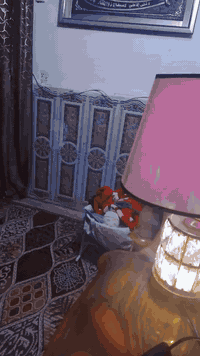 سلام عليكم من رخصت ابو لكروب عندي غرفه نوم مستعمله للبيع بغداد الجديده شارع لمسبح  رقم ***********
