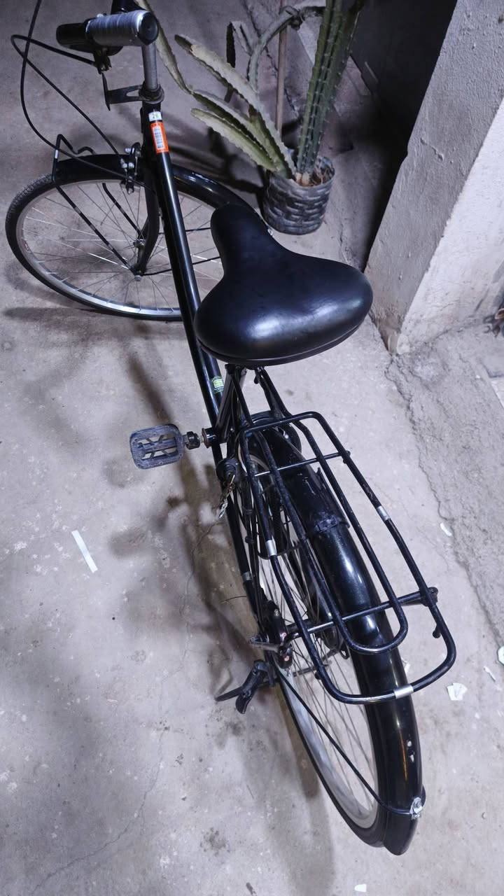 باسكل للبيع ب 80 وبي مجال وهاذ رقمي ***********
