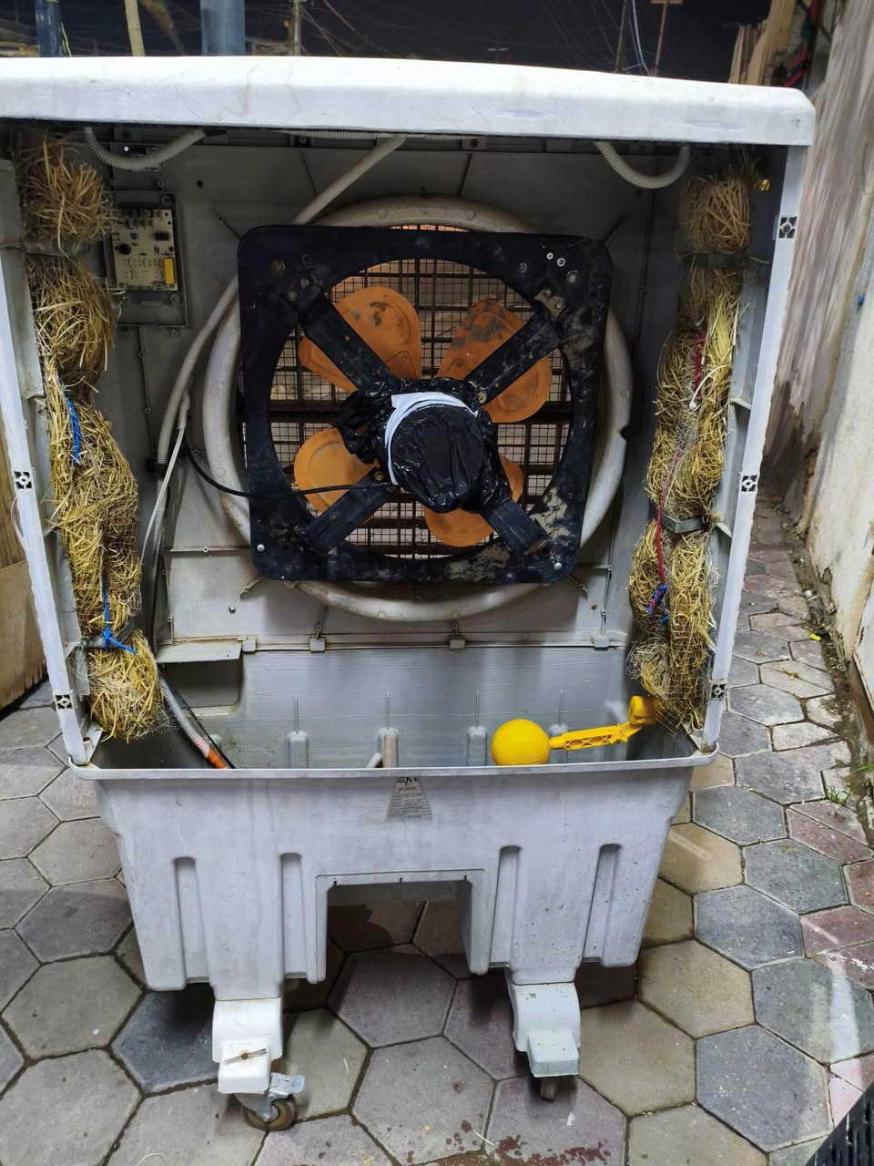 ياالله مبرده تحوير جيب وشد هواها خير من الله بارد مولد وطني تشتغل تصير مال محميات او داخل البيت حته بوخه متسوي 
سعره 40الف مكان كوت داموك ***********
