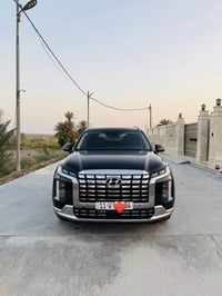 باليسايد اسود • ٢٠٢٣ • رقم بغداد