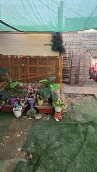 أبي الخصيب العوجة • 200م • وقف سني