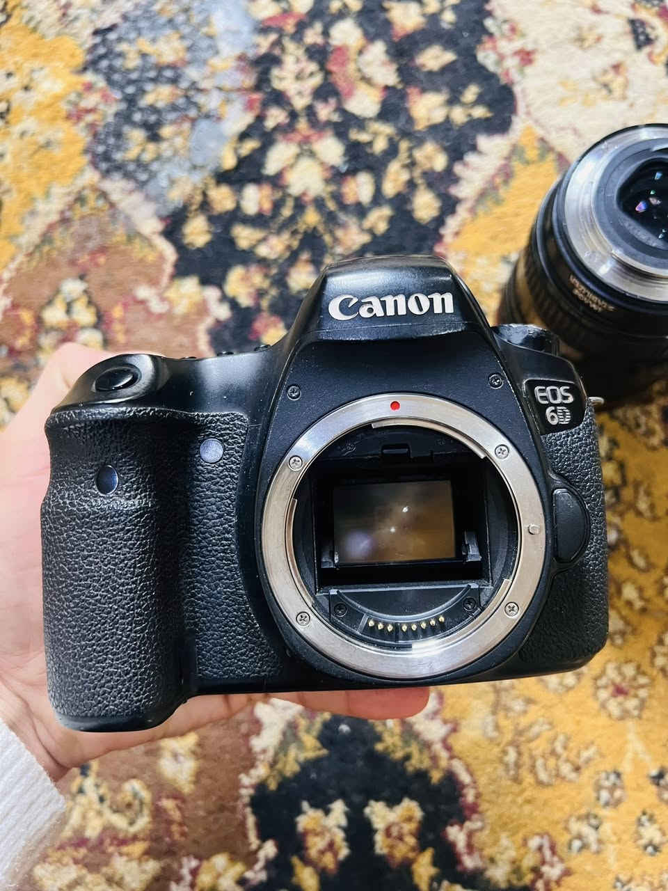 كاميرا كانون d6 مارن 1 فول فريم مع عدسه 24:105 السعر 800 وبيه مجال
توصيل جميع المحافظات


**إذا كنت صاحب هذا الإعلان وتريد حذفه لأي سبب، رجاءا أرسل رسالة إلى الدعم الفني**