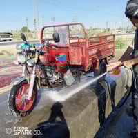 ستوته • اوراق سليمه • ٢٠١٥