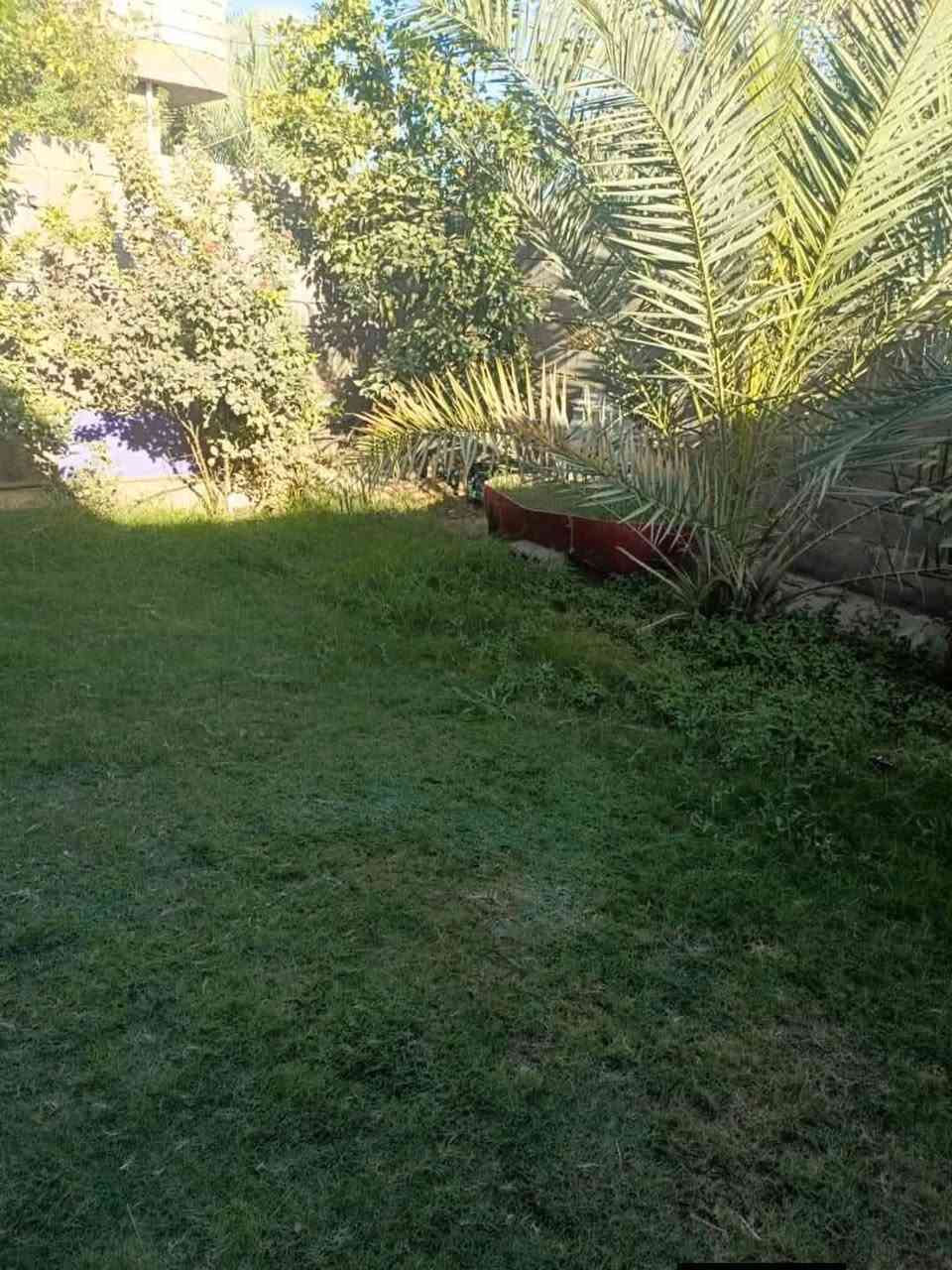 السلام عليكم بيت للبيع المساحه 400 متر طابو زراعي سند 25 يحتوي على غرفتين واستقبال ومطبخ حار وبارد وصاله صحيات داخليه وخارجيه وحديقه العنوان كربلاء طويريج  حي الجمعيه قرب كنطرة المستقبل السعر خاص للإستفسار اكثر الأتصال على الأرقام الموجوده  ***********
