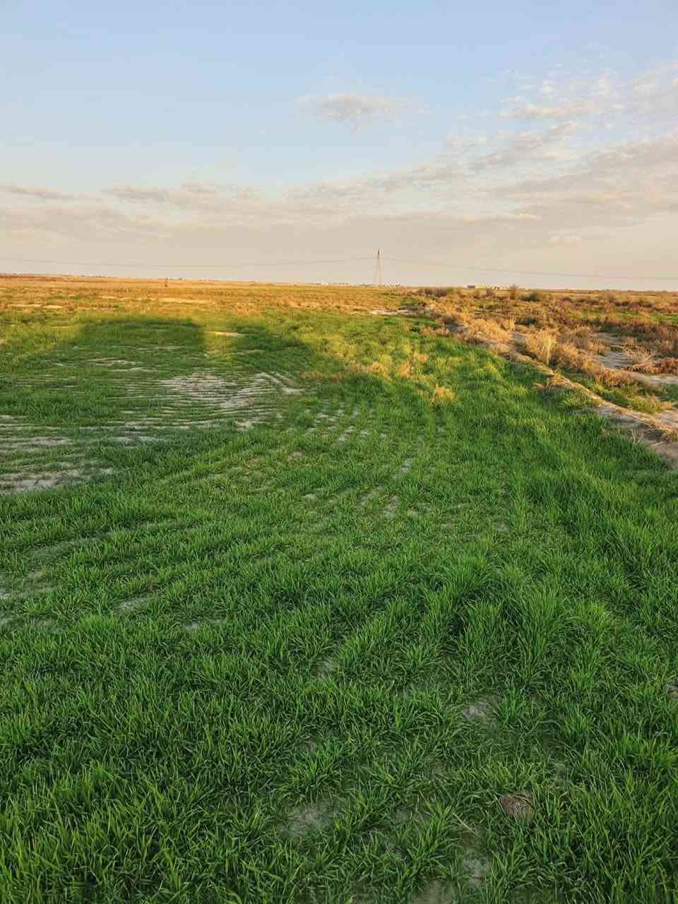 سفحه البيع 32دونم على طريق سيد محمد عكيل قرب حسينيه الفواطم  عله الشارع العام  التواصل عله الرقم فقط. *********** /***********
