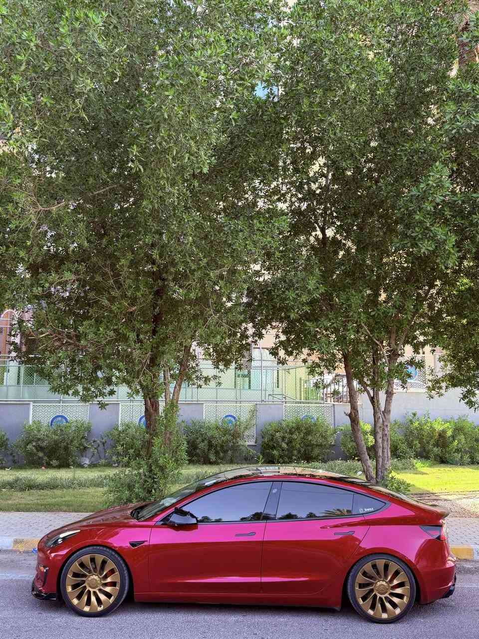 تيسلا مودل 3 بير فورمانس موديل 2023 كهربائية بلكاااااامل
Tesla Model 3 Performance 2023 
السياره بيرفورمانس مو دبل عاديه للبيع او المراوس
اللون الاحمر المرغوب
رقم شُبه ممُيز بغداد بأسمي 
تحويل وعقد مروري مباشر
السيارة نص قطعه فقط بدون ايرباگ !
السيارة كلين بدون ايرباگ صور الحادث 
على الواتساب اثناء النقل الجاملغ الايمن 
جهة عكس السايق صارت بي طخه 
ونصبغ ربع من عنده فقط وجاملغ 
عكس السايق الخلفي نشخط عندي  
وسويتها PDR مع تكحيل 
السياره كامله بدون اي نقص
وياها شاحنته الاصلية 48 امبير 

وياها فلاش 128GB مال الـDashCam 

وستاند مال شاحنة 

السياره مربوطه على تطبيق الاحمر 

البردات مال البانوراما كذلك 

سيارة ماشية 43 الف

مكانها - بغداد العامرية

الــســعــر 🟥 :: 213 💎

رقم صاحبة سيارة : ***********
