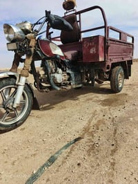 ستوته 14 • نضيف • شراي خاص